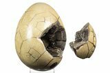 Septarian Dragon Egg Geode - Removable Section #329505-2